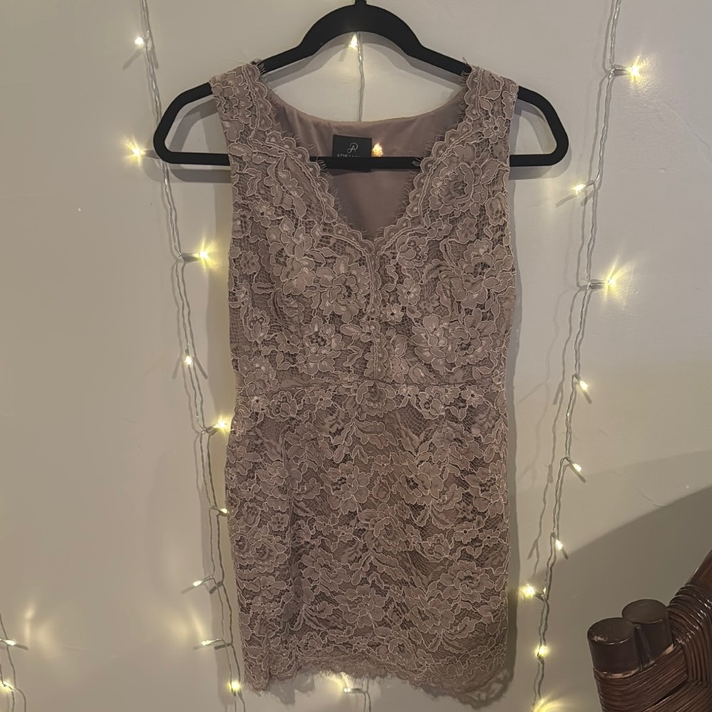 Elegant Adrianna Papell Lace Sleeveless Dress